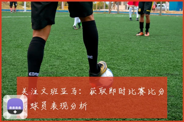 关注文班亚马：获取即时比赛比分与球员表现分析