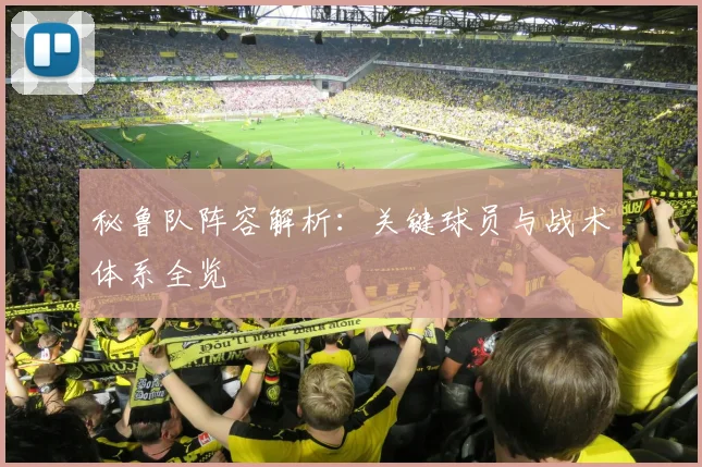 秘鲁队阵容解析：关键球员与战术体系全览