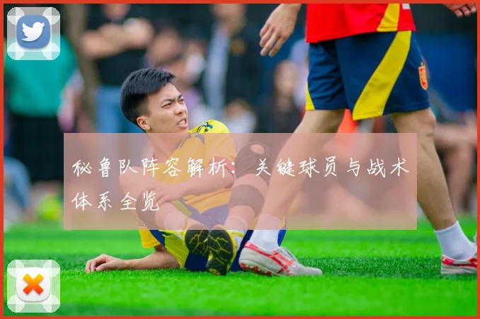 秘鲁队阵容解析：关键球员与战术体系全览