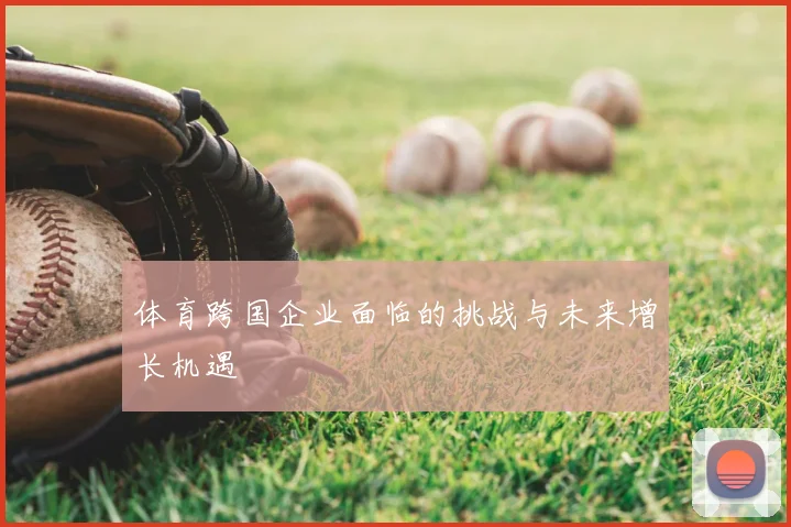体育跨国企业面临的挑战与未来增长机遇